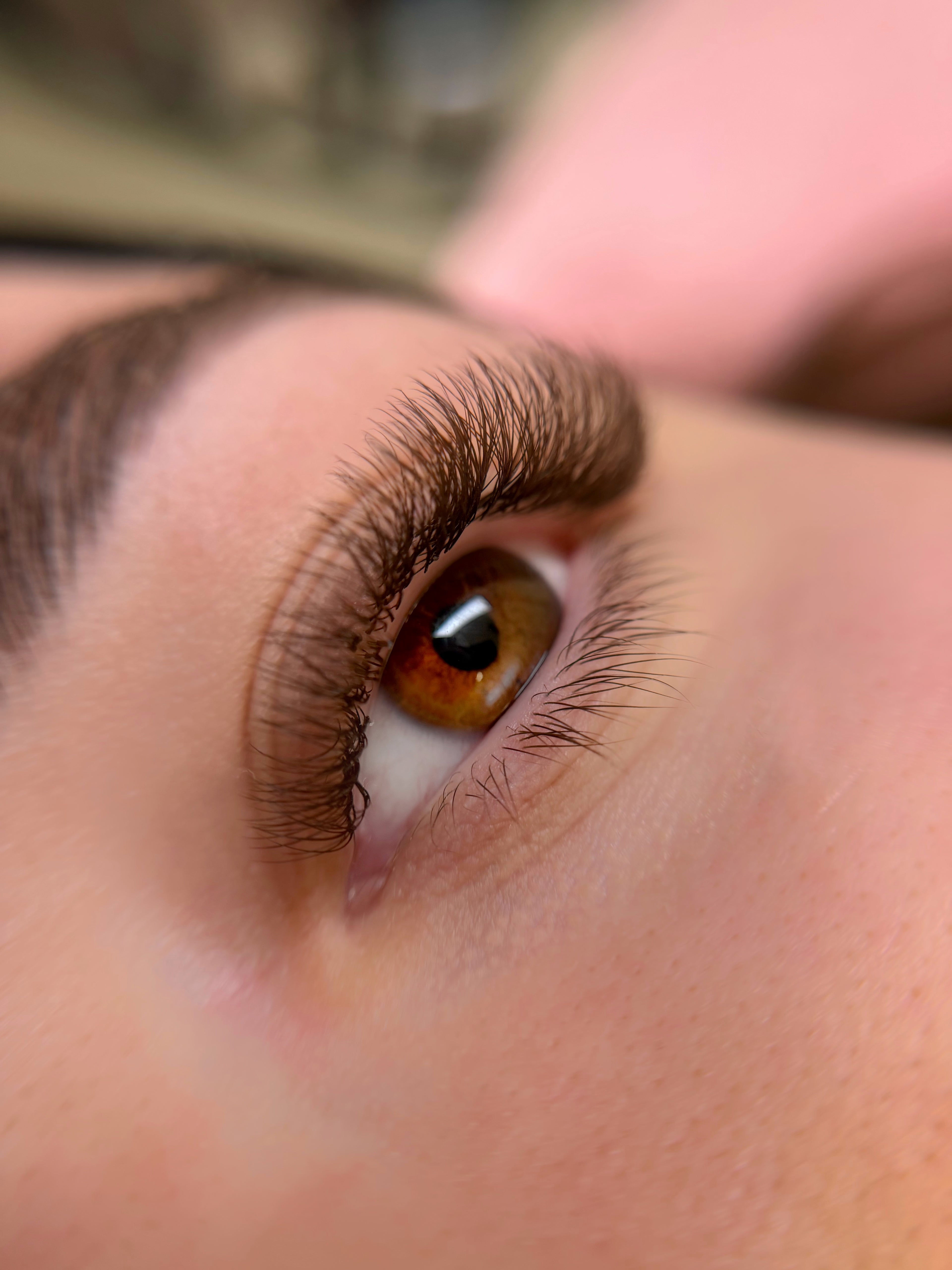 Préfaits CHOCOLATE BROWN (2000 FANS)