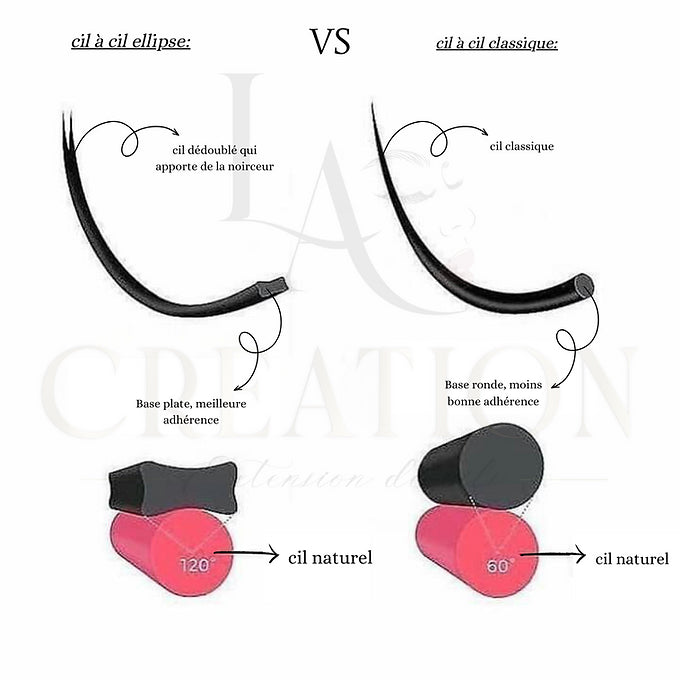 Cil à cil - Ellipse