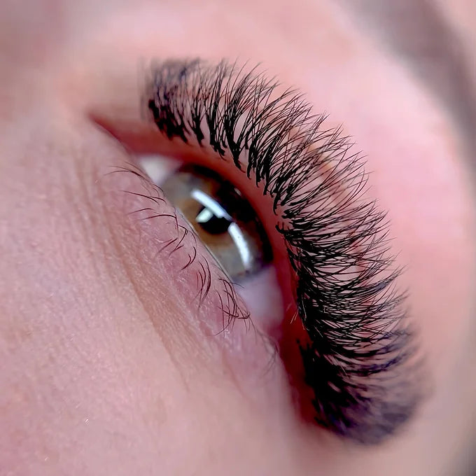 Volume Russe - Easy Fan