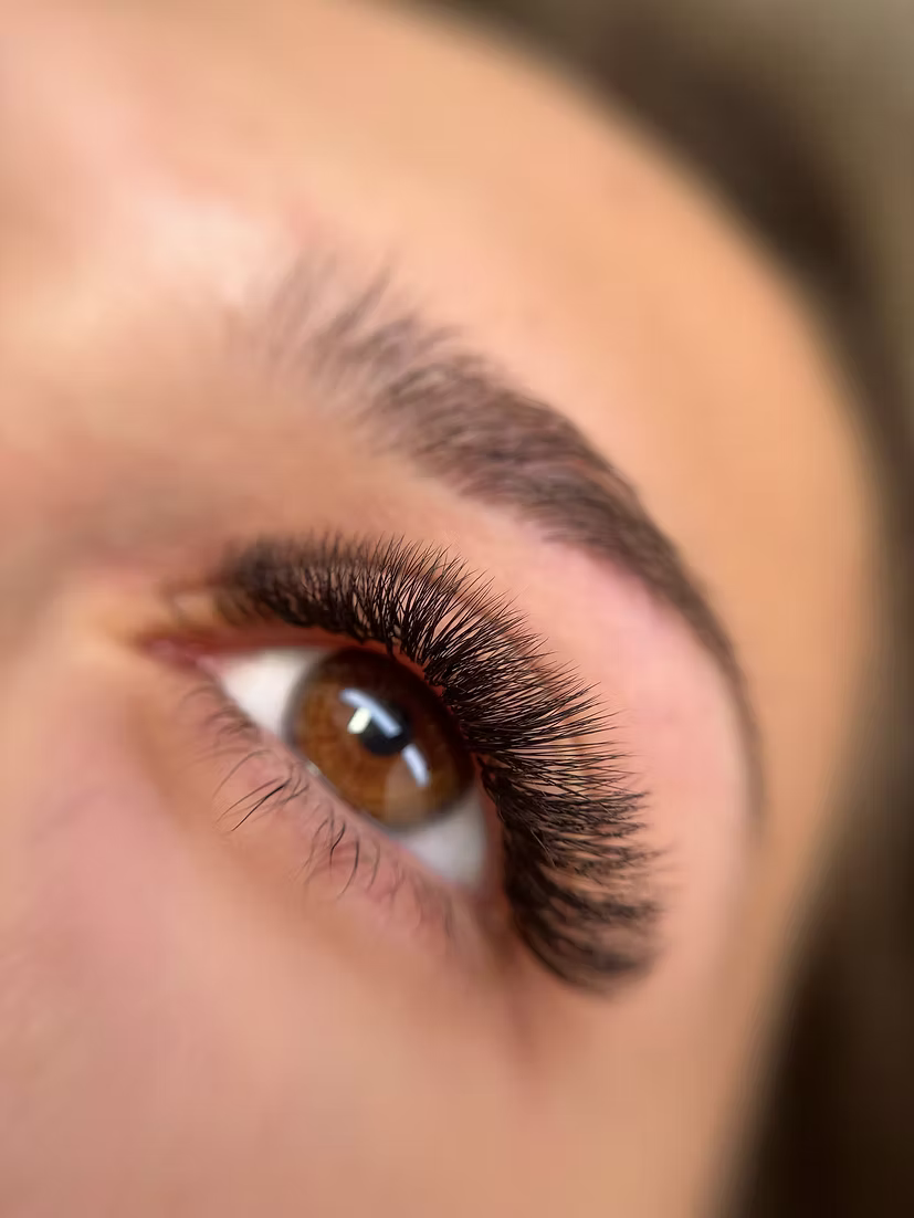 Préfaits 0,07 (2000 FANS)